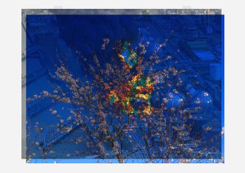 «Amandier - Fukushima, 11-03-11.»