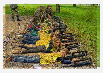 «Fourmis - Famas, 15-10-15.»