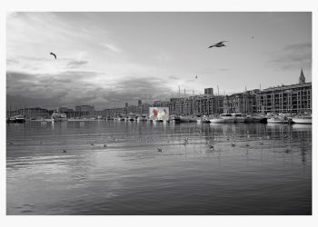 «Pape François - Vieux Port, 03-02-19.»