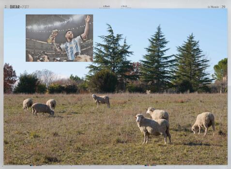«Moutons, Saint-Michel-l'Observatoire, 20-12-22.»