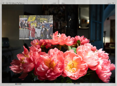 «Pivoines, Paris 27-03-24.»