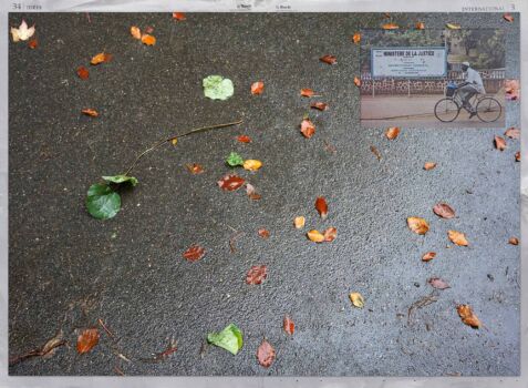 «feuilles, Paris, 28-10-21.»