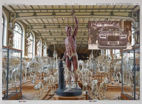 «Galerie de Paléontologie, Paris, 29-10-21.»